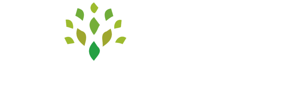Childlife Foundation